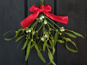 mistletoe ribbon.jpg